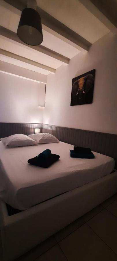 Le Telly-Centre Ville-Petits Prix-Ideal Pour Rayonner Sur La Ville Carcassonne Dış mekan fotoğraf