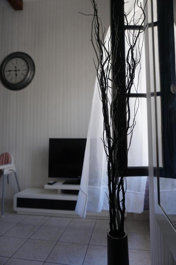 Le Telly-Centre Ville-Petits Prix-Ideal Pour Rayonner Sur La Ville Carcassonne Dış mekan fotoğraf